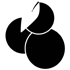 Snowberry Logo