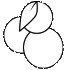 Snowberry Logo